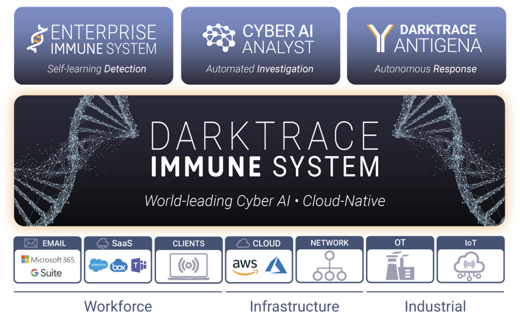 partner-immune-system-infographic
